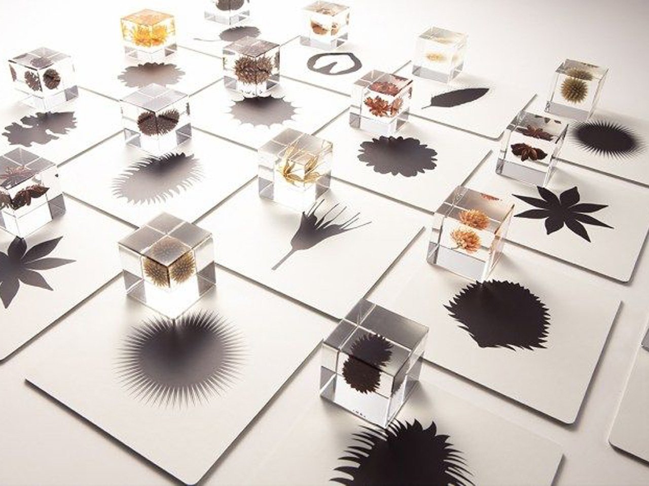 Acrylic Insect Cubes Polishing