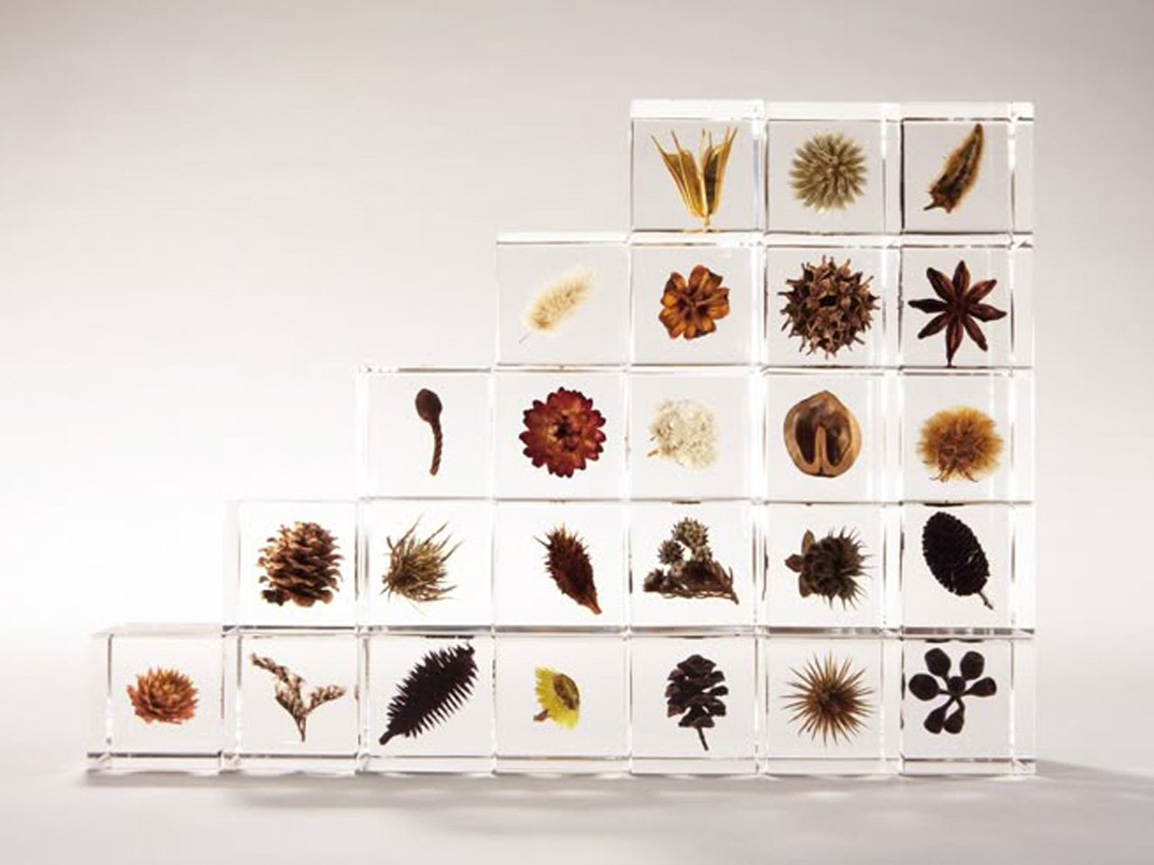 Acrylic cube wall shelf